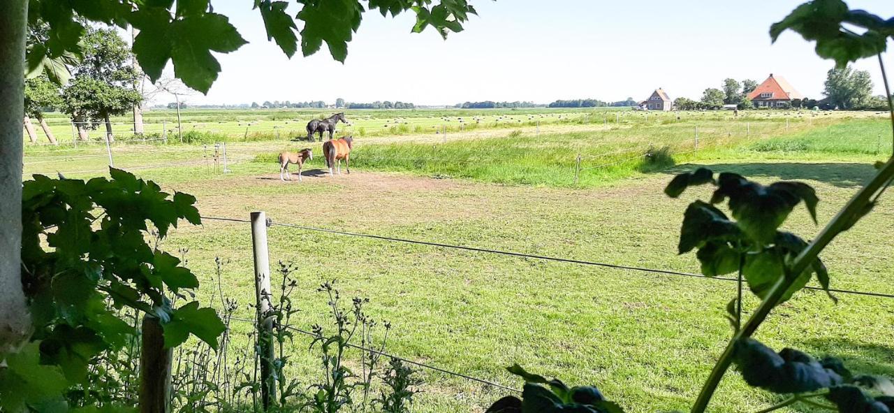 Met Fraai Uitzicht Holiday home Echten (Friesland)